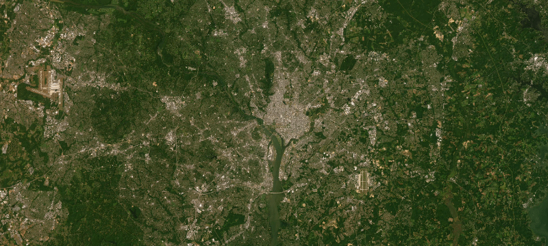 Satellite basemap of the case location