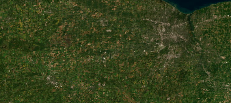 Satellite basemap of the case location
