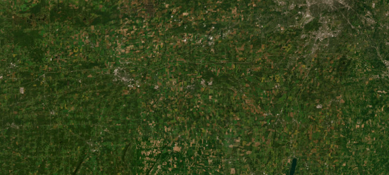 Satellite basemap of the case location