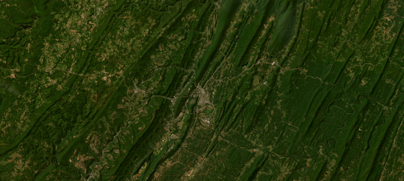 Satellite basemap of the case location