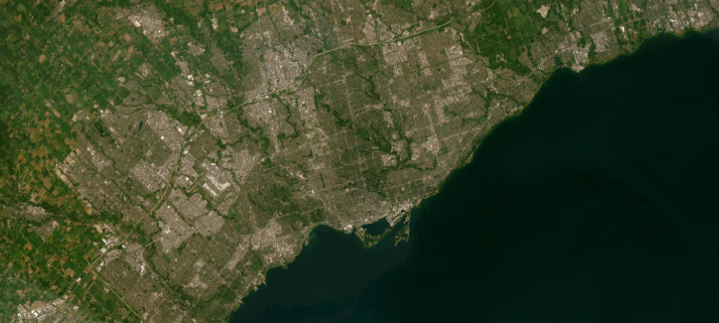 Satellite basemap of the case location