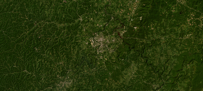 Satellite basemap of the case location