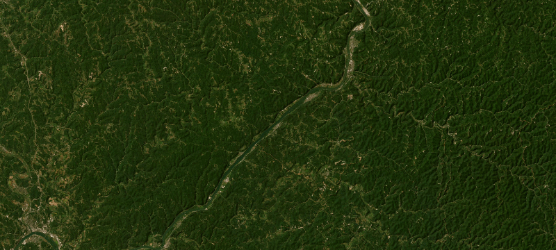 Satellite basemap of the case location