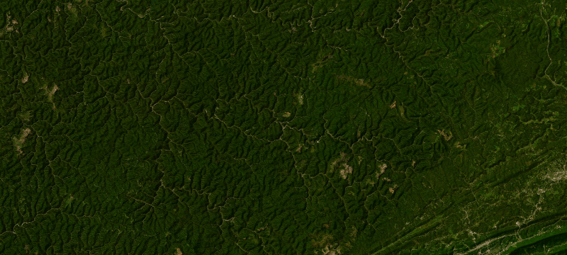 Satellite basemap of the case location