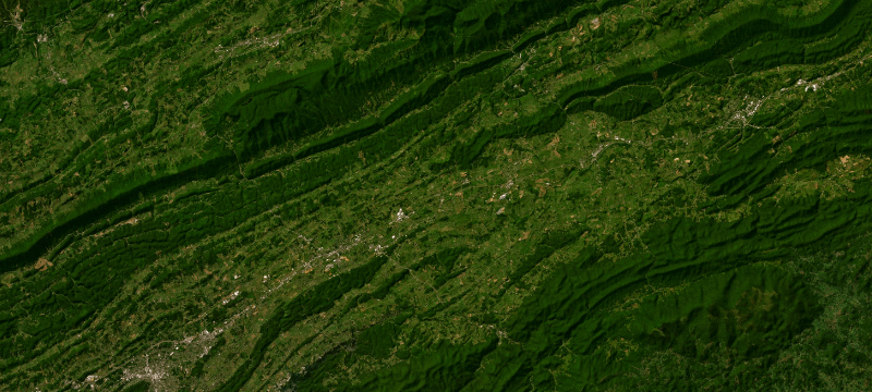 Satellite basemap of the case location