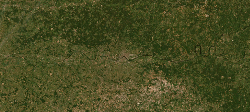 Satellite basemap of the case location