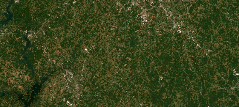 Satellite basemap of the case location