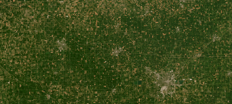 Satellite basemap of the case location