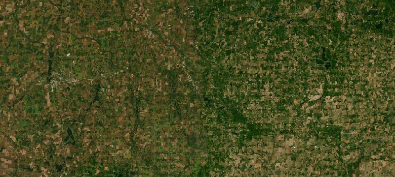 Satellite basemap of the case location