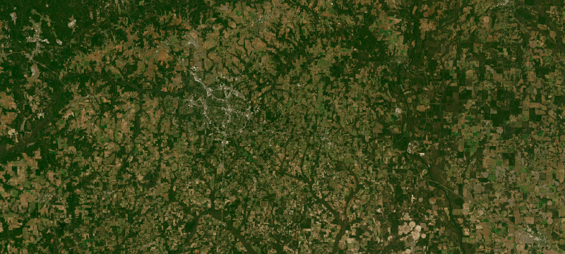 Satellite basemap of the case location