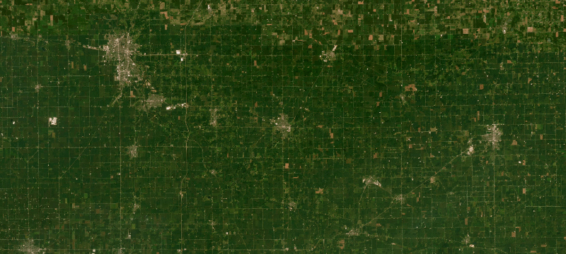 Satellite basemap of the case location