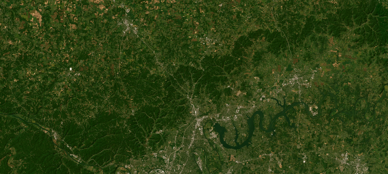 Satellite basemap of the case location