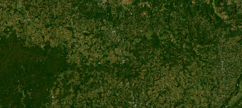 Satellite basemap of the case location