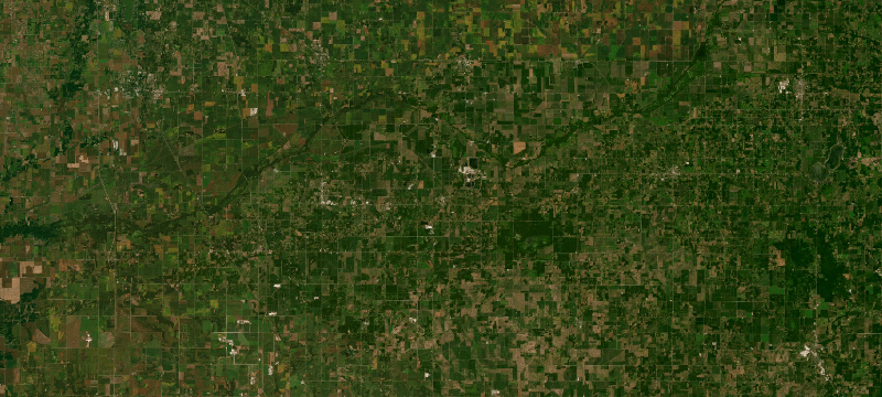 Satellite basemap of the case location