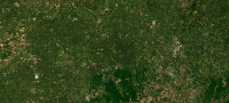 Satellite basemap of the case location