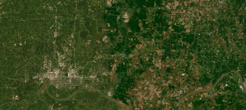 Satellite basemap of the case location