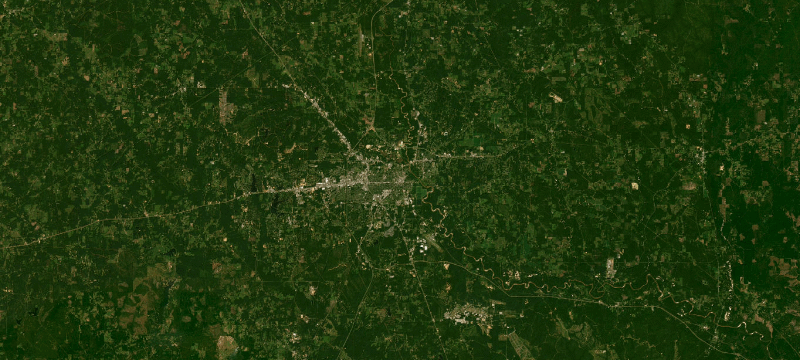 Satellite basemap of the case location