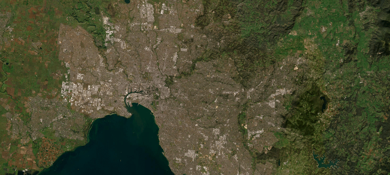 Satellite basemap of the case location