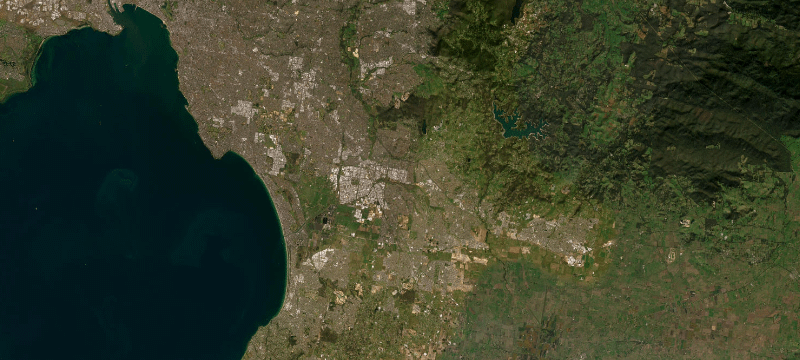 Satellite basemap of the case location