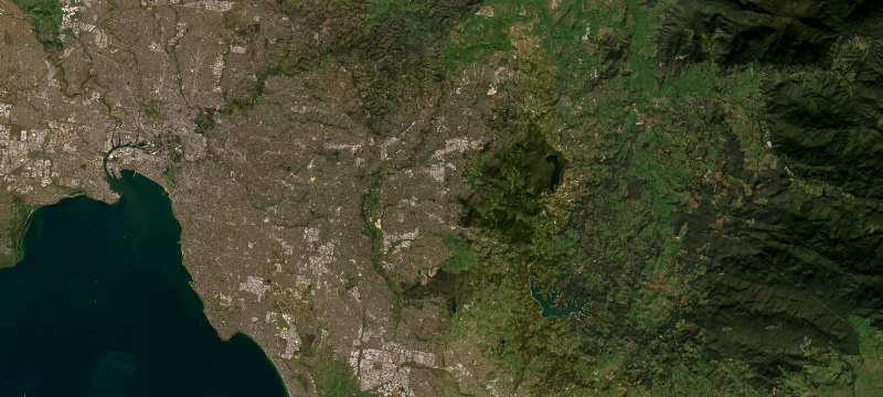 Satellite basemap of the case location