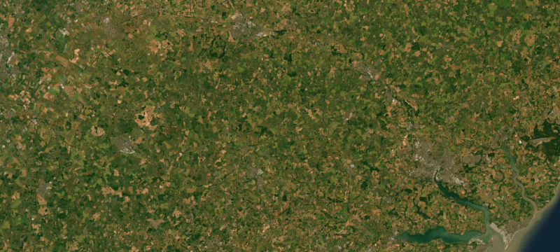 Satellite basemap of the case location