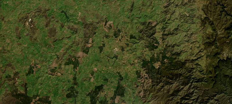 Satellite basemap of the case location