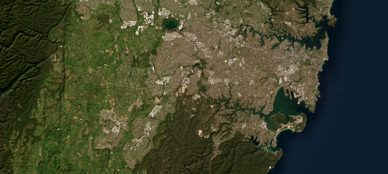Satellite basemap of the case location