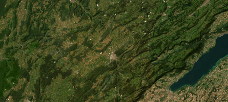 Satellite basemap of the case location