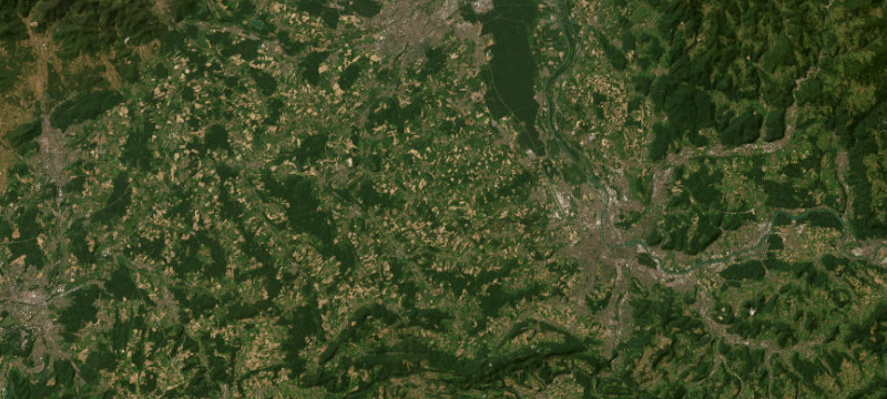 Satellite basemap of the case location