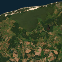 Satelita