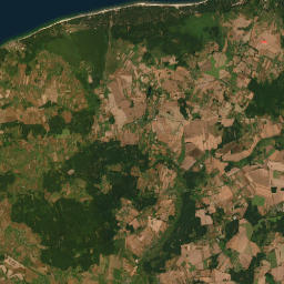 Satelita