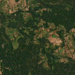 Satelita
