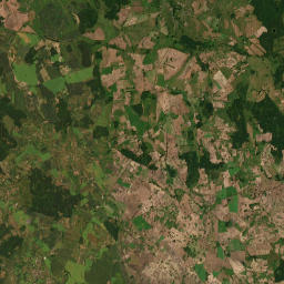 Satelita