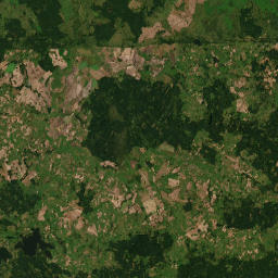 Satelita