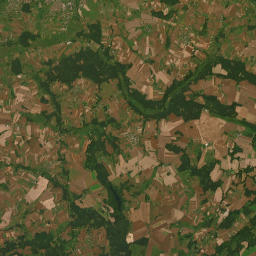 Satelita