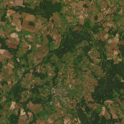 Satelita