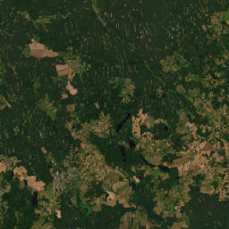 Satelita