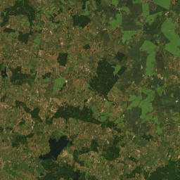 Satelita