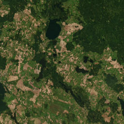 Satelita
