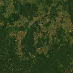 Satelita