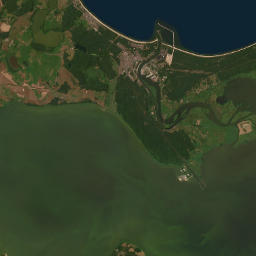 Satelita