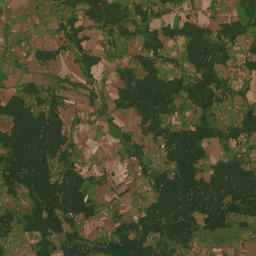 Satelita