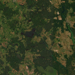 Satelita
