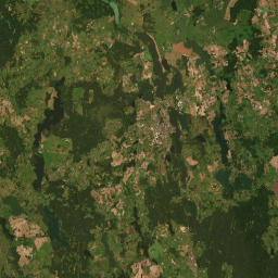 Satelita