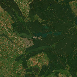 Satelita