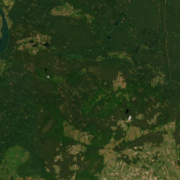 Satelita