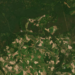 Satelita