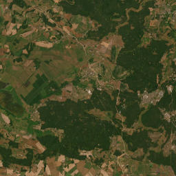 Satelita