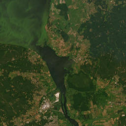 Satelita
