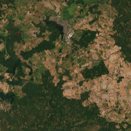 Satelita